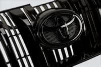 антихром решетка для Toyota Land Cruiser Prado 150 (2009—2013)